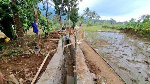 D.I. Ciseuseupan | Foto Inventarisasi | STA 0+025 50% saluran kanan (Arah Hilir) | Pandat, Mandalawangi, Pandeglang