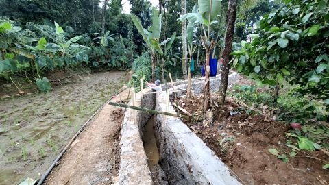 D.I. Ciseuseupan | Foto Inventarisasi | STA 0+025 50% saluran kanan (Arah Hulu) | Pandat, Mandalawangi, Pandeglang