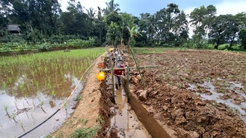 D.I. Ciseuseupan | Foto Inventarisasi | STA 0+050 50% saluran kanan (Arah Hulu) | Pandat, Mandalawangi, Pandeglang