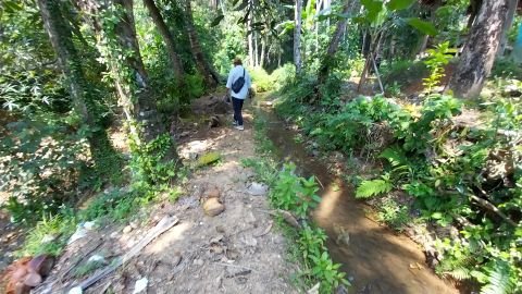 D.I. Cisiih | Foto Inventarisasi | Situregen, Panggarangan, Lebak