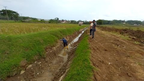 D.I. Cibinuangeun | Foto Inventarisasi | Sekunder kandang | Sukamanah, Malingping, Lebak