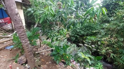 D.I. Pasir Eurih | Foto Inventarisasi | 1+600 | Curugbarang, Cipeucang, Pandeglang