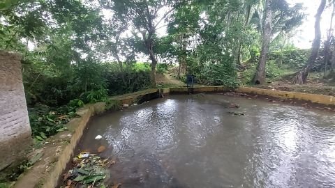 D.I. Pasir Eurih | Foto Inventarisasi | 1+800 | Curugbarang, Cipeucang, Pandeglang