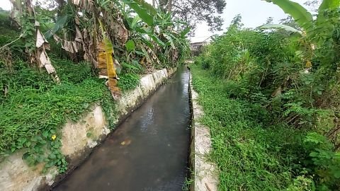 D.I. Cibayawak | Foto Inventarisasi | STA 0+175 | Pari, Mandalawangi, Pandeglang