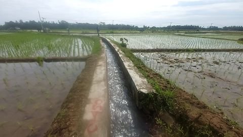 D.I. Cipinang Bulu | Foto Inventarisasi | 0+450 | Ujungjaya, Sumur, Pandeglang