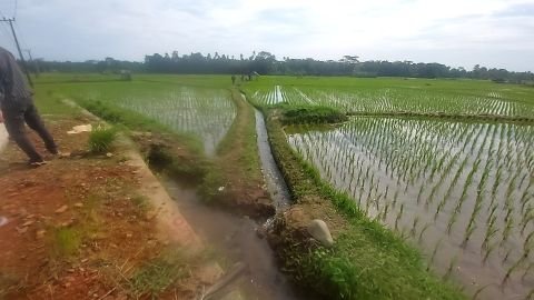 D.I. Cipinang Bulu | Foto Inventarisasi | 0+575 | Ujungjaya, Sumur, Pandeglang