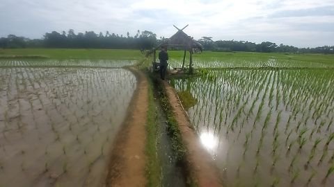 D.I. Cipinang Bulu | Foto Inventarisasi | 0+625 | Ujungjaya, Sumur, Pandeglang