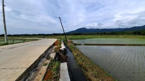D.I. Cipinang Bulu | Foto Inventarisasi | Ujungjaya, Sumur, Pandeglang