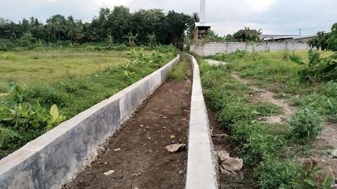 D.I. Krajanen | Foto Inventarisasi | STA 4+300 tdk ada air mengalir. Sadap kemungkinan bocor | Mekar Baru, Petir, Serang